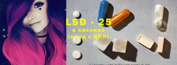 прущие грибы Нея