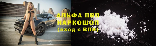 прущие грибы Нея