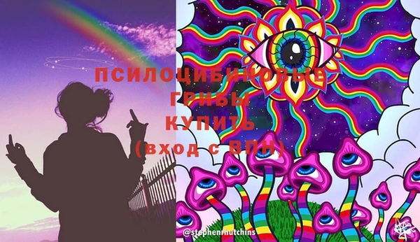 2c-b Бежецк
