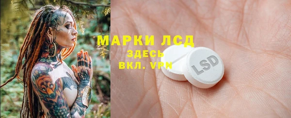 прущие грибы Нея