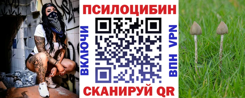 где купить наркоту  Каменск-Уральский  OMG как войти  Галлюциногенные грибы GOLDEN TEACHER 