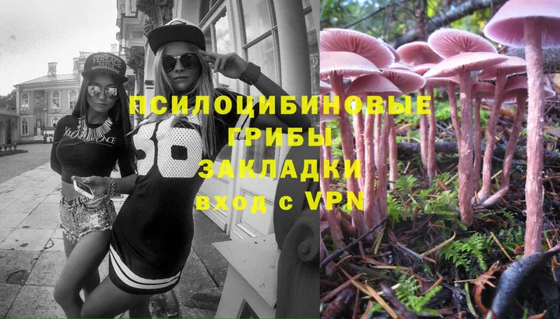 Галлюциногенные грибы Magic Shrooms  как найти   ОМГ ОМГ маркетплейс  Каменск-Уральский 