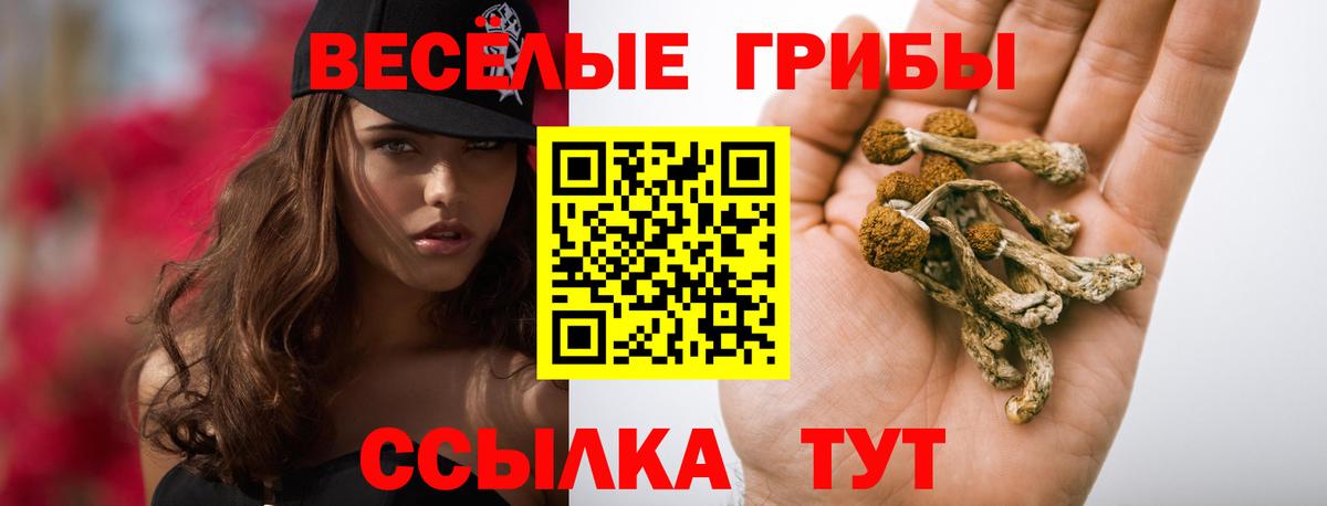 Галлюциногенные грибы мухоморы Каменск-Уральский